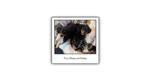 Hello and Welcome to Our Bark-tastic Blog!
